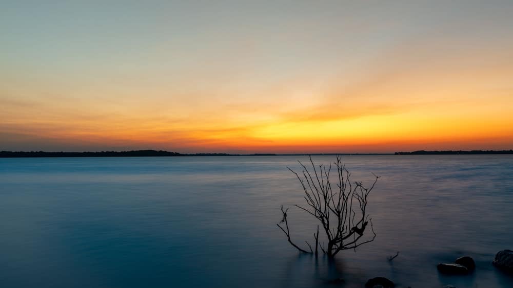 A calm lake at sunset with a silhouetted tree in the foreground.