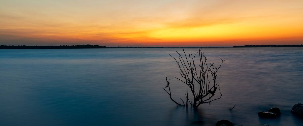 A calm lake at sunset with a silhouetted tree in the foreground.