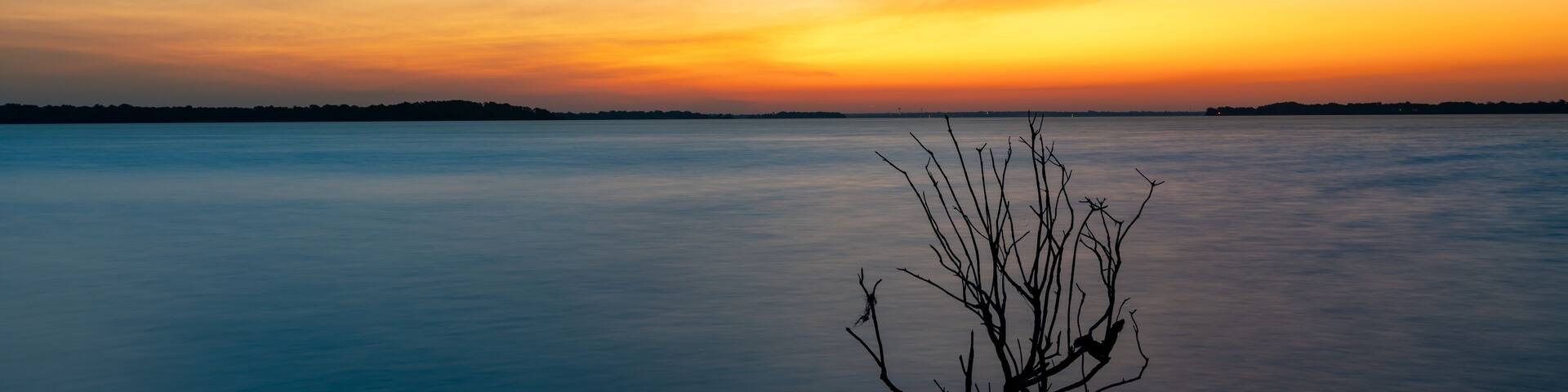A calm lake at sunset with a silhouetted tree in the foreground.