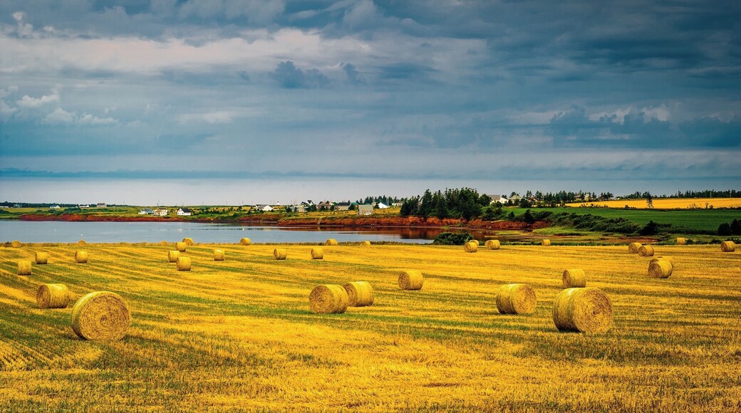 Prince Edward Island is a photographers paradise. So many colours and a mix of terrains.