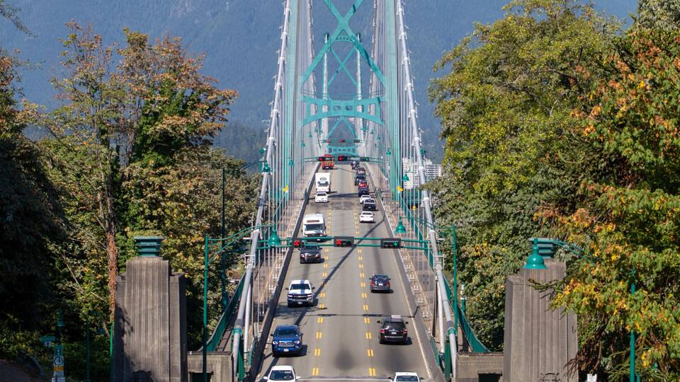 A green suspension bridge with cars driving on it, surrounded by trees and mountains in the background.