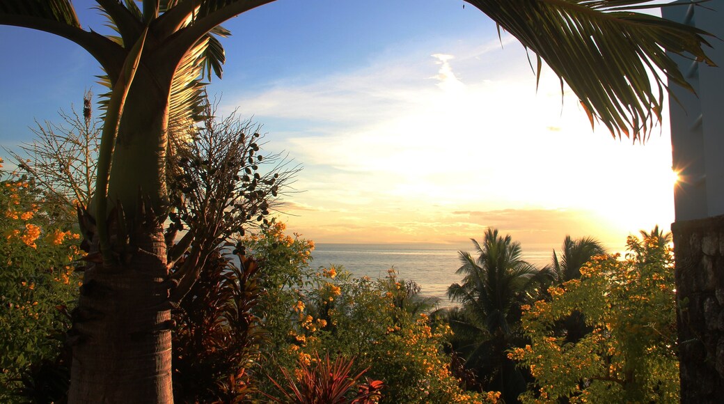 Arch of palm tree overlooking the ocean, Catmon, Cebu, Philippines