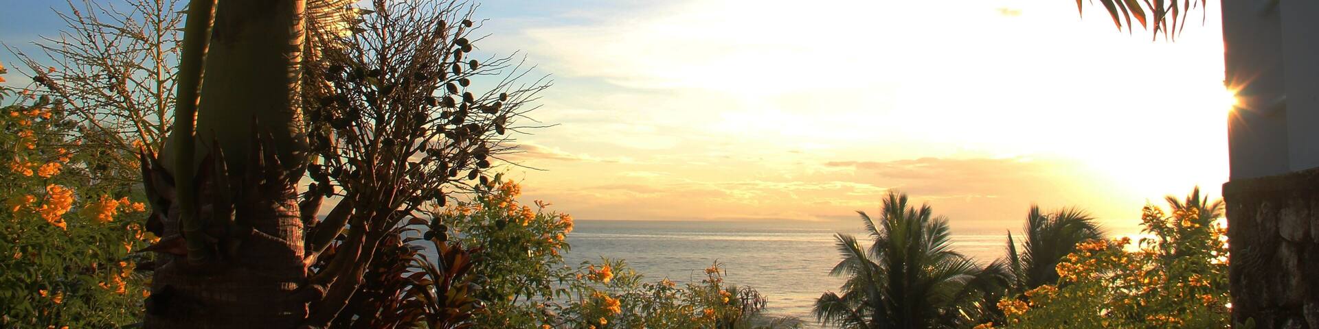 Arch of palm tree overlooking the ocean, Catmon, Cebu, Philippines