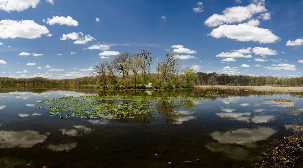 642-75 Kent Lake Panoramic