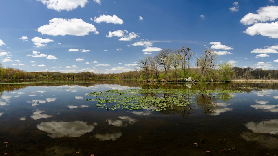 A calm lake with reflections of trees and clouds, surrounded by a forest.