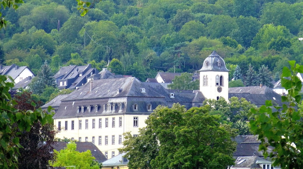 Boppard - Kloster Marienberg (zoom from the other side of Rhine).
