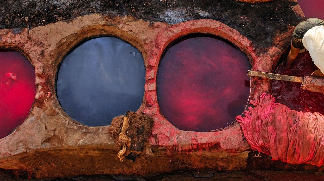 Leather dying in a traditional tannery in Fes, Morocco