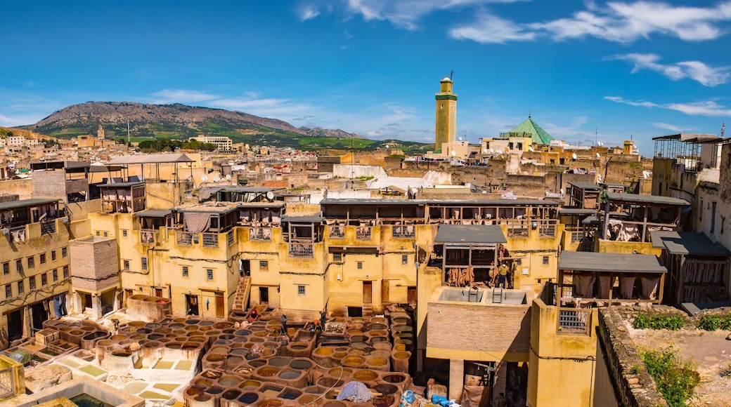 Fes, Morocco. Old town panorama,tanneries and tanks with color paint for leather. Morocco Africa