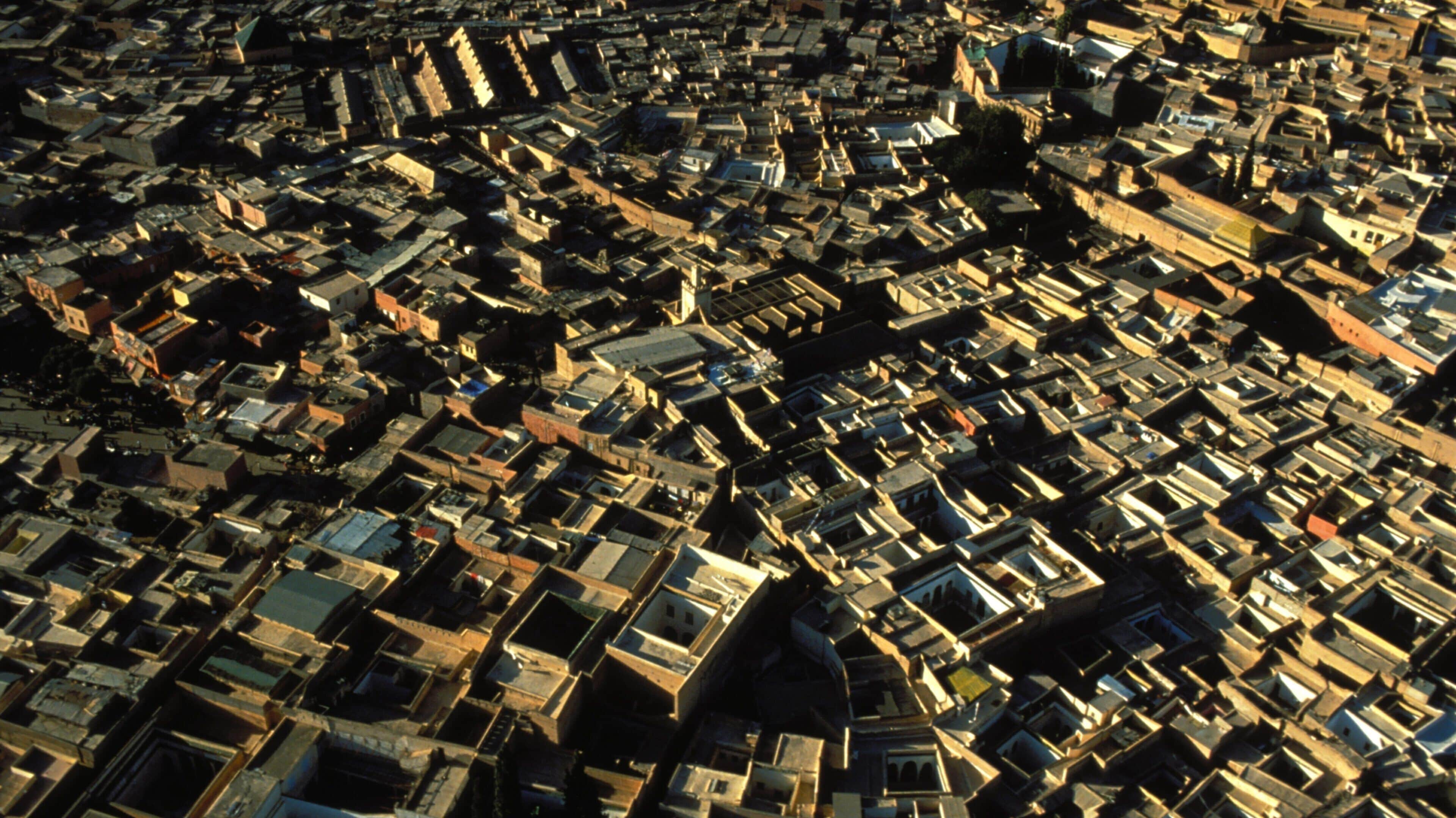 Marrakech showing a city