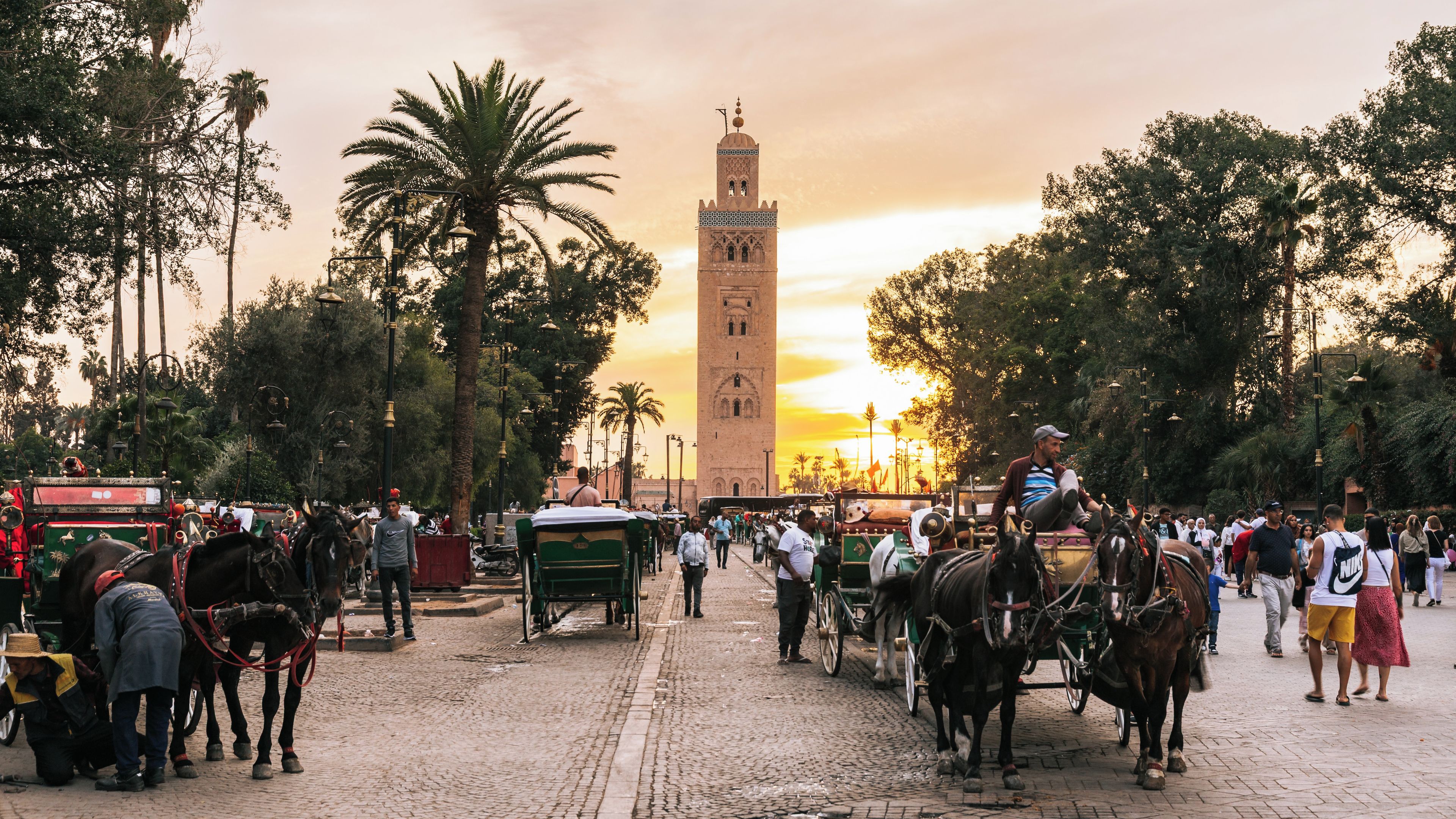 A bustling street scene with horse-drawn carriages, palm trees, and a prominent tower in the background.