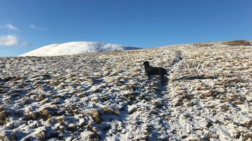 The Calf Howgill Fells Iphone 7