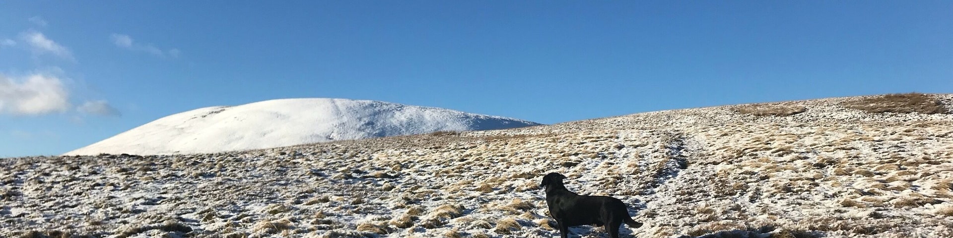 The Calf Howgill Fells Iphone 7
