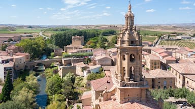 Un pueblo histórico con una torre destacada, viñedos en terrazas y un río.