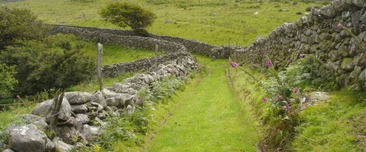 A stone wall, a grassy path, and a hill in the background.