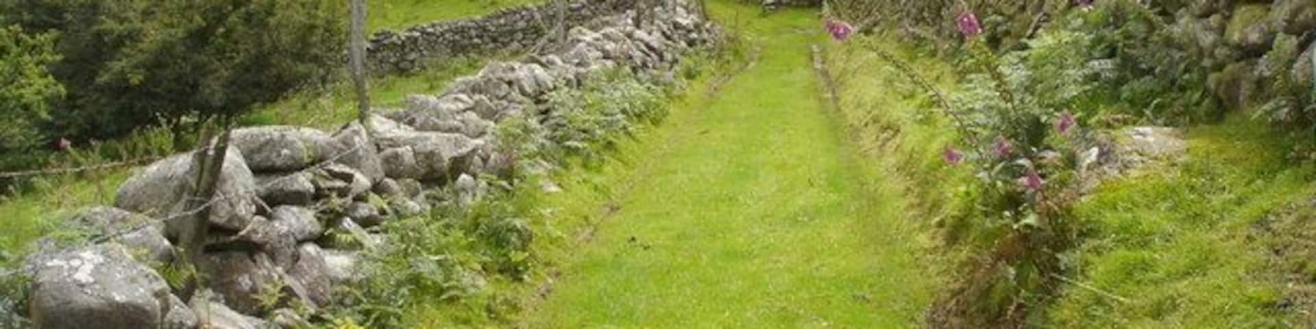A stone wall, a grassy path, and a hill in the background.