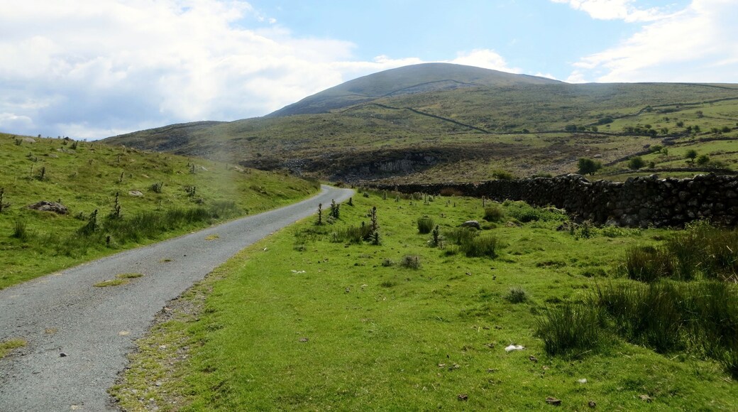On the road to Cwm Nantcol - May 2013