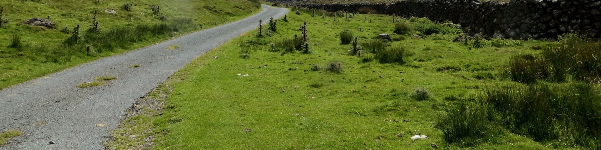 On the road to Cwm Nantcol - May 2013