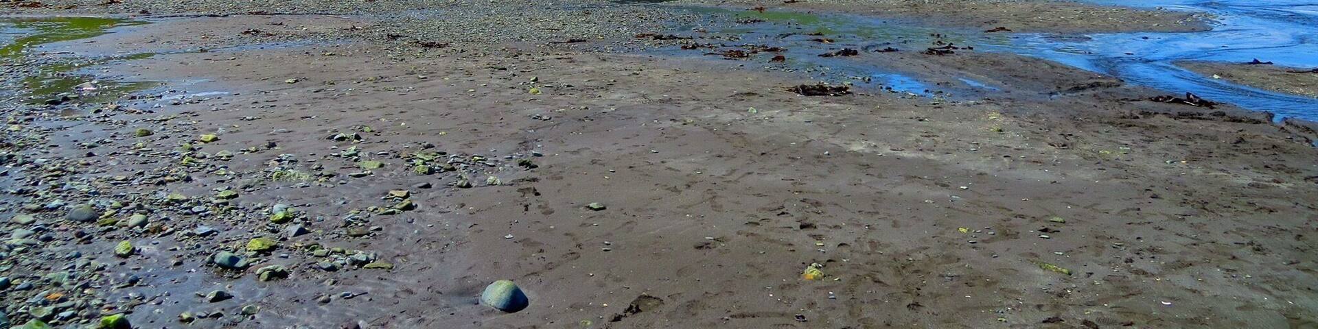 So beautiful on this Native Alaskan land.