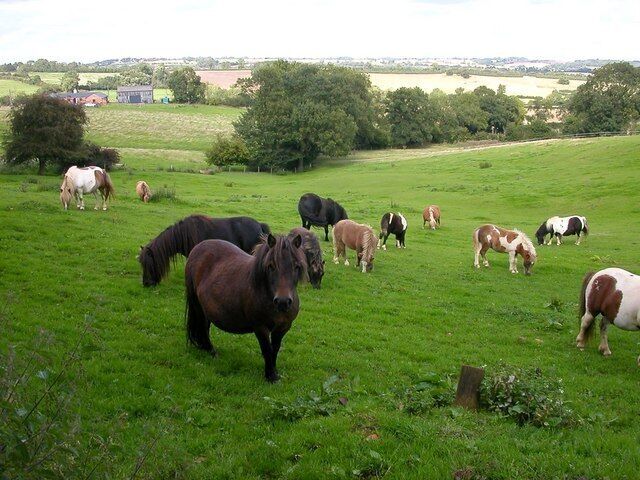 Guilsborough. Looking down the valley from Ashbylane Farm towards Nortoft Lodge.