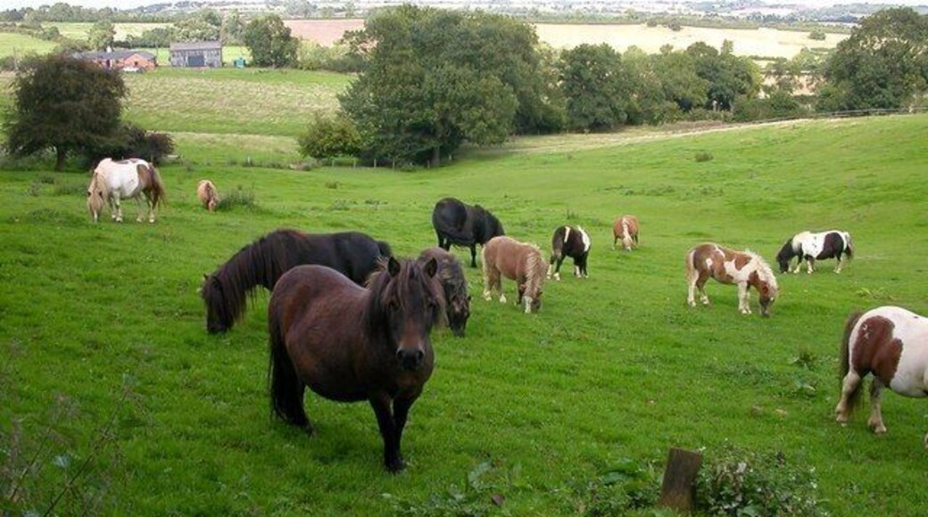Guilsborough. Looking down the valley from Ashbylane Farm towards Nortoft Lodge.