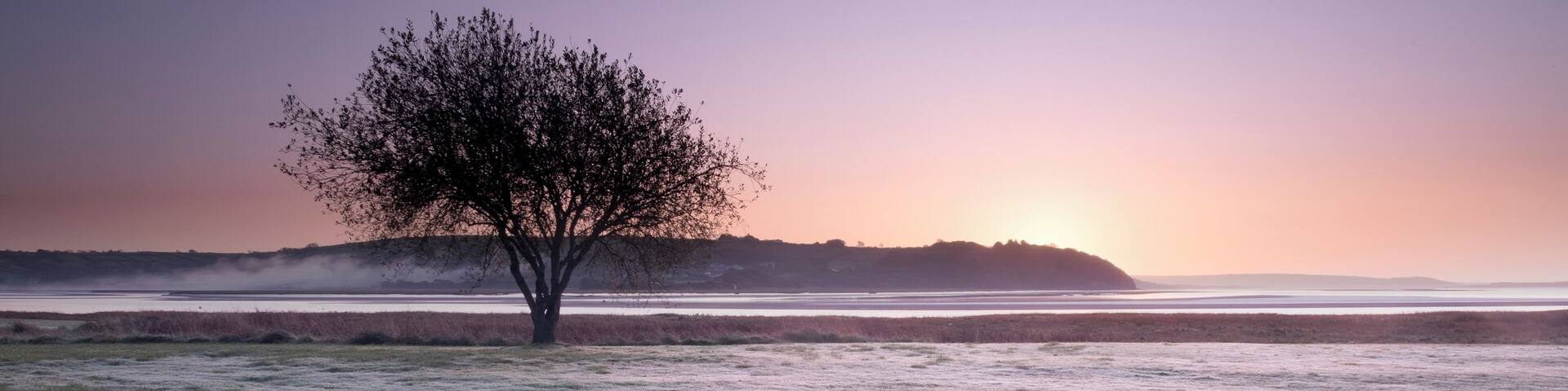 Looking towards the Bristol Channel with Laugharne Castle at my back. I love early mornings everything is so pristine.