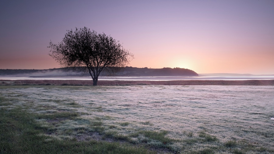 Looking towards the Bristol Channel with Laugharne Castle at my back. I love early mornings everything is so pristine.