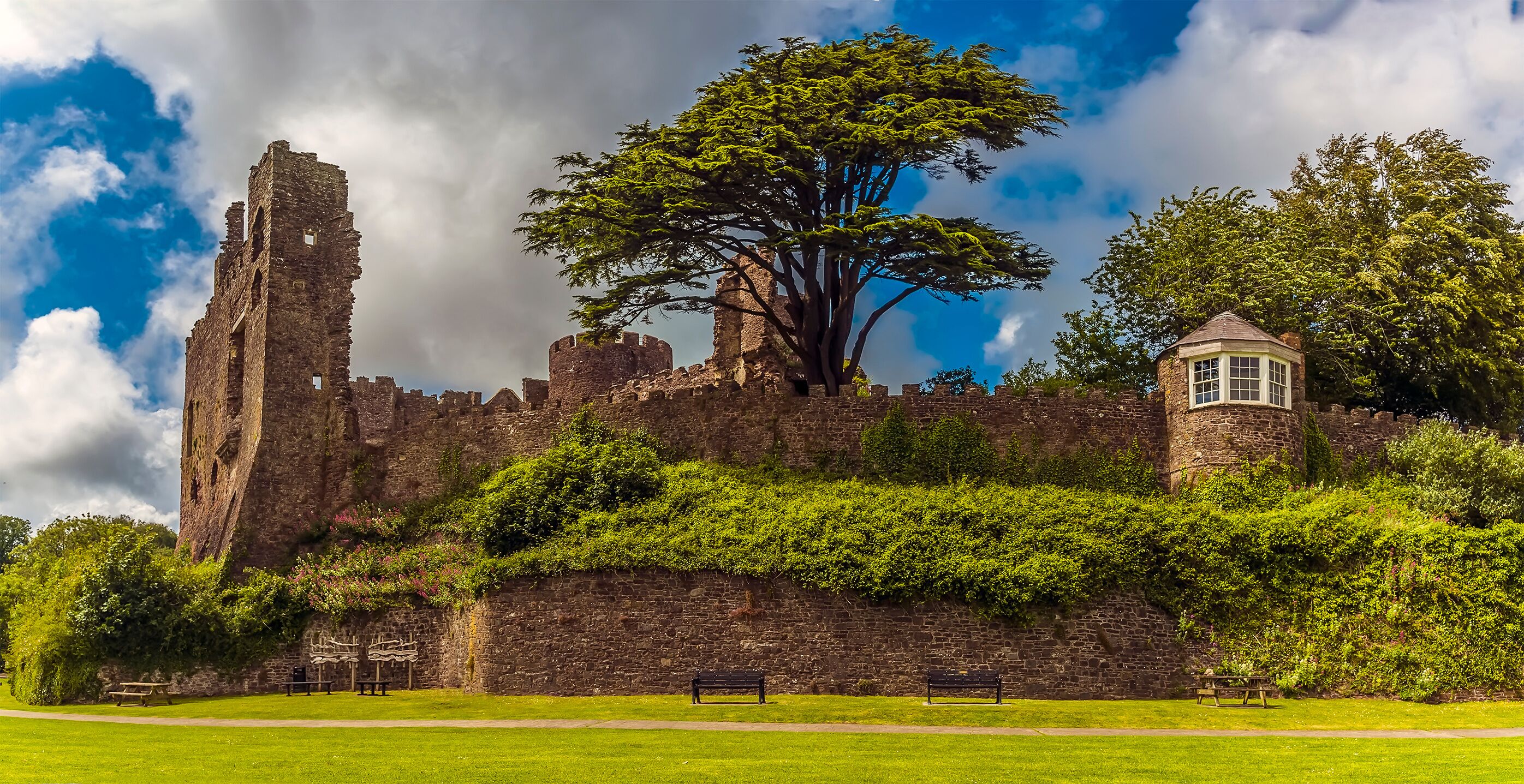 A panorama view of the ruins of the castle at Laugharne, Wales in the summertime