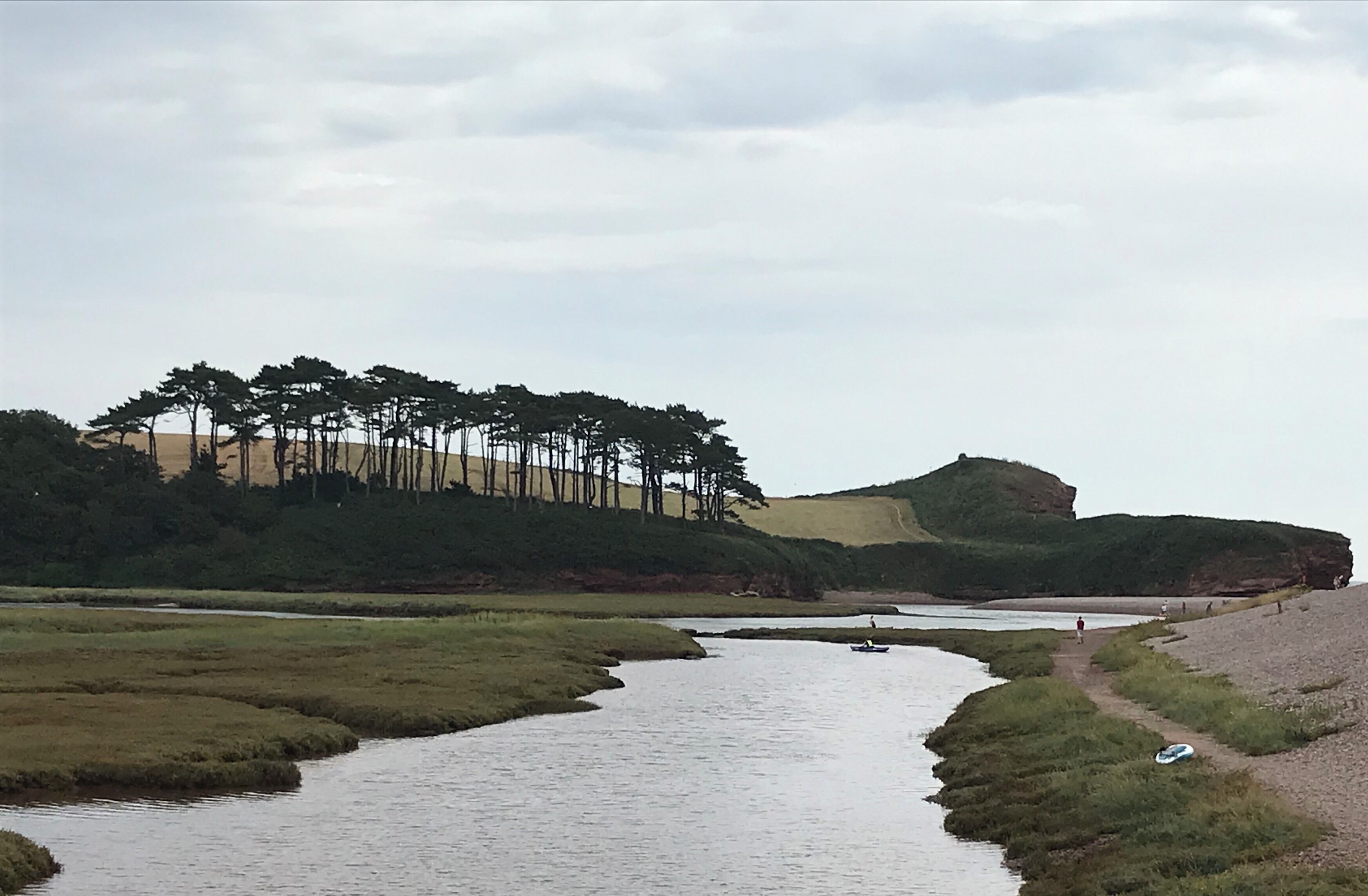 Otter head where the estuary meets the sea. This is a classic photo of this area and many artists have painted this view of the trees on the cliff over the years.