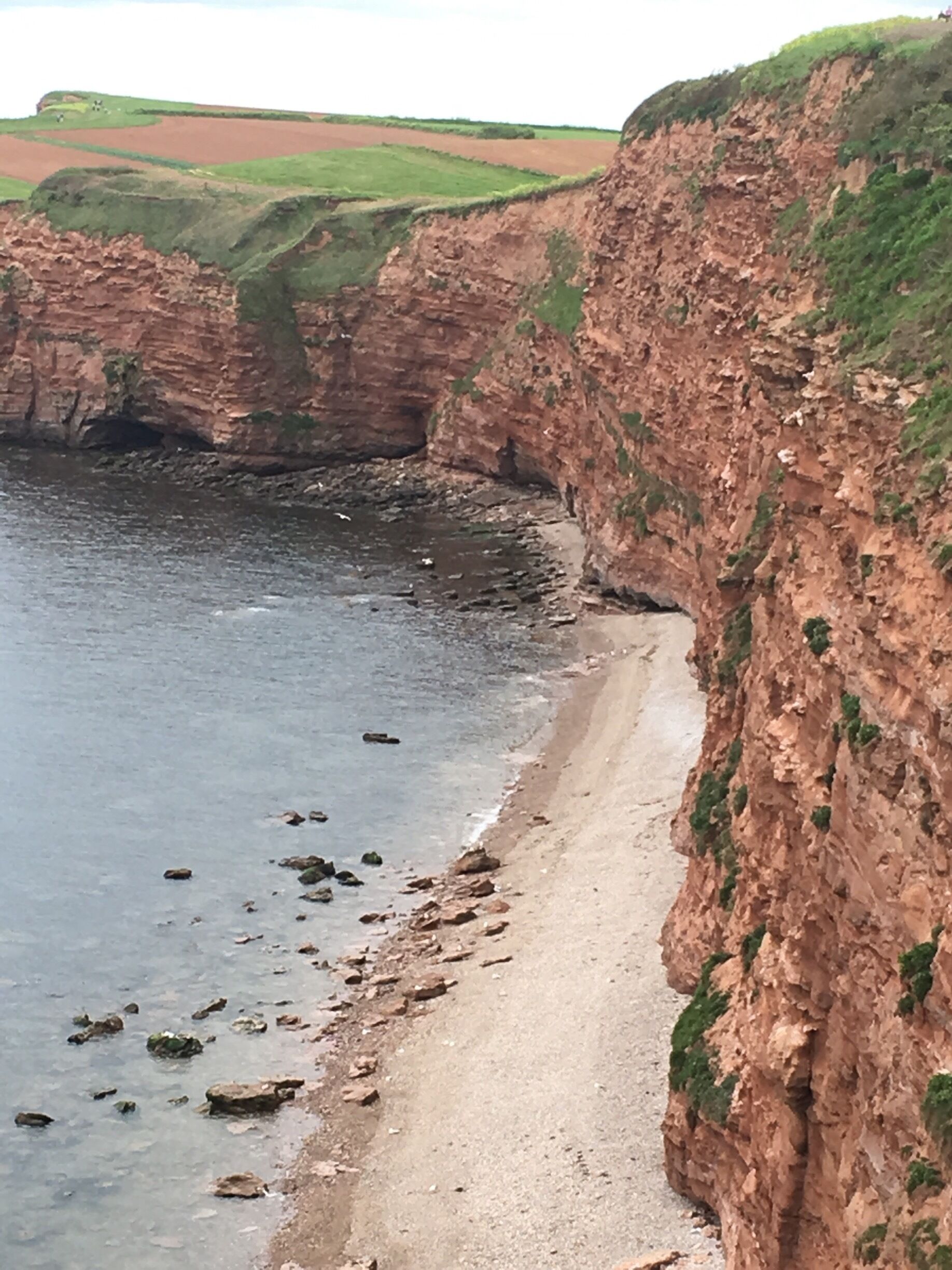A coastal cliff with a sandy beach and a river.