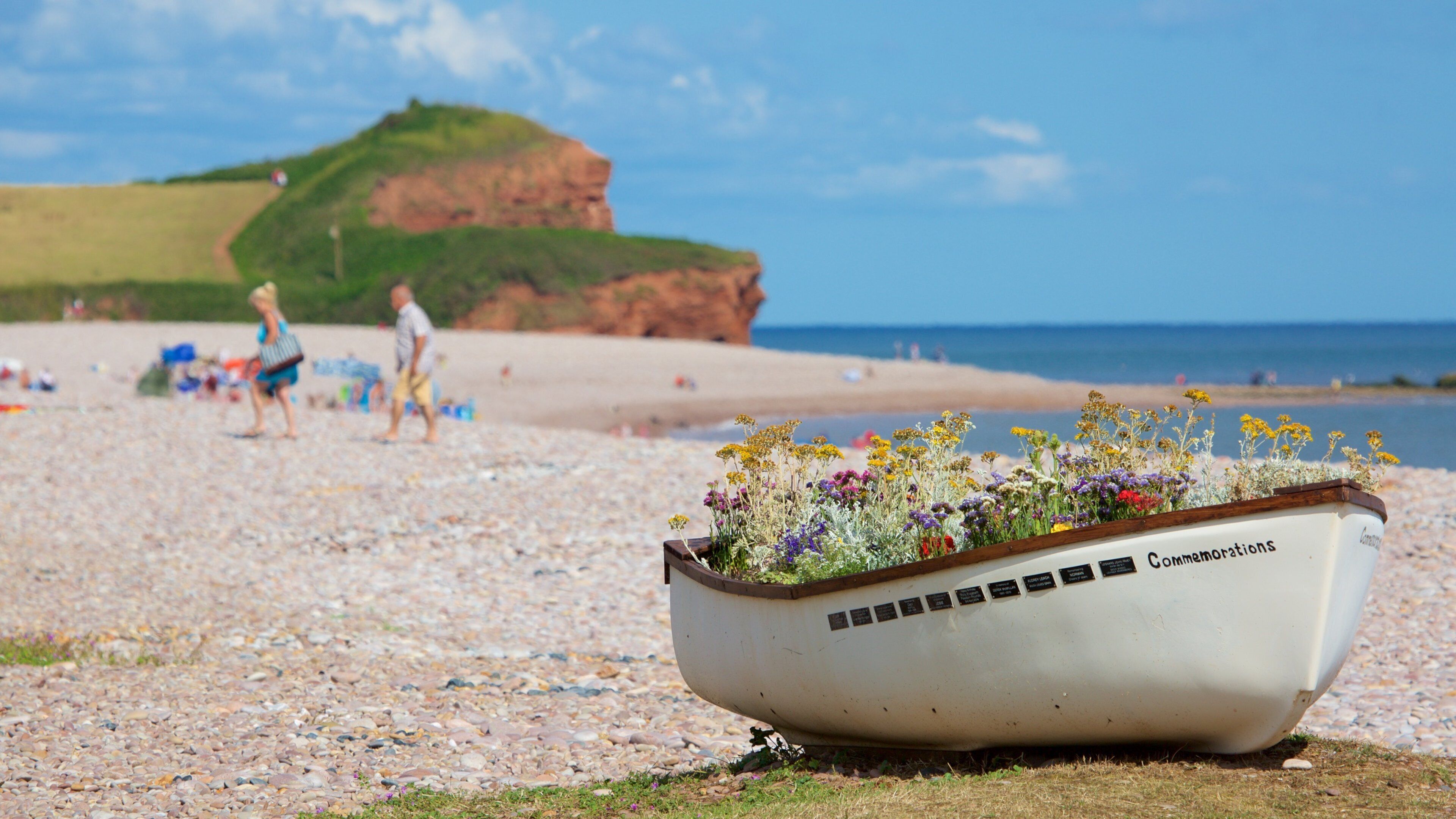 Budleigh Salterton mostrando una playa de guijarros, paseos en lancha y flores