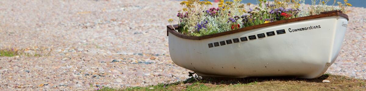 Budleigh Salterton which includes boating, a pebble beach and flowers