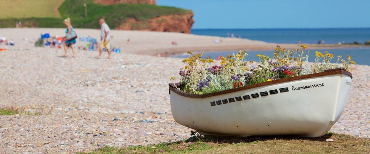Budleigh Salterton montrant plage de galets, fleurs et navigation