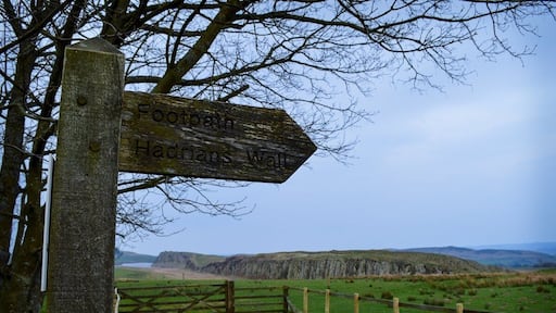 ハルトホイッスル