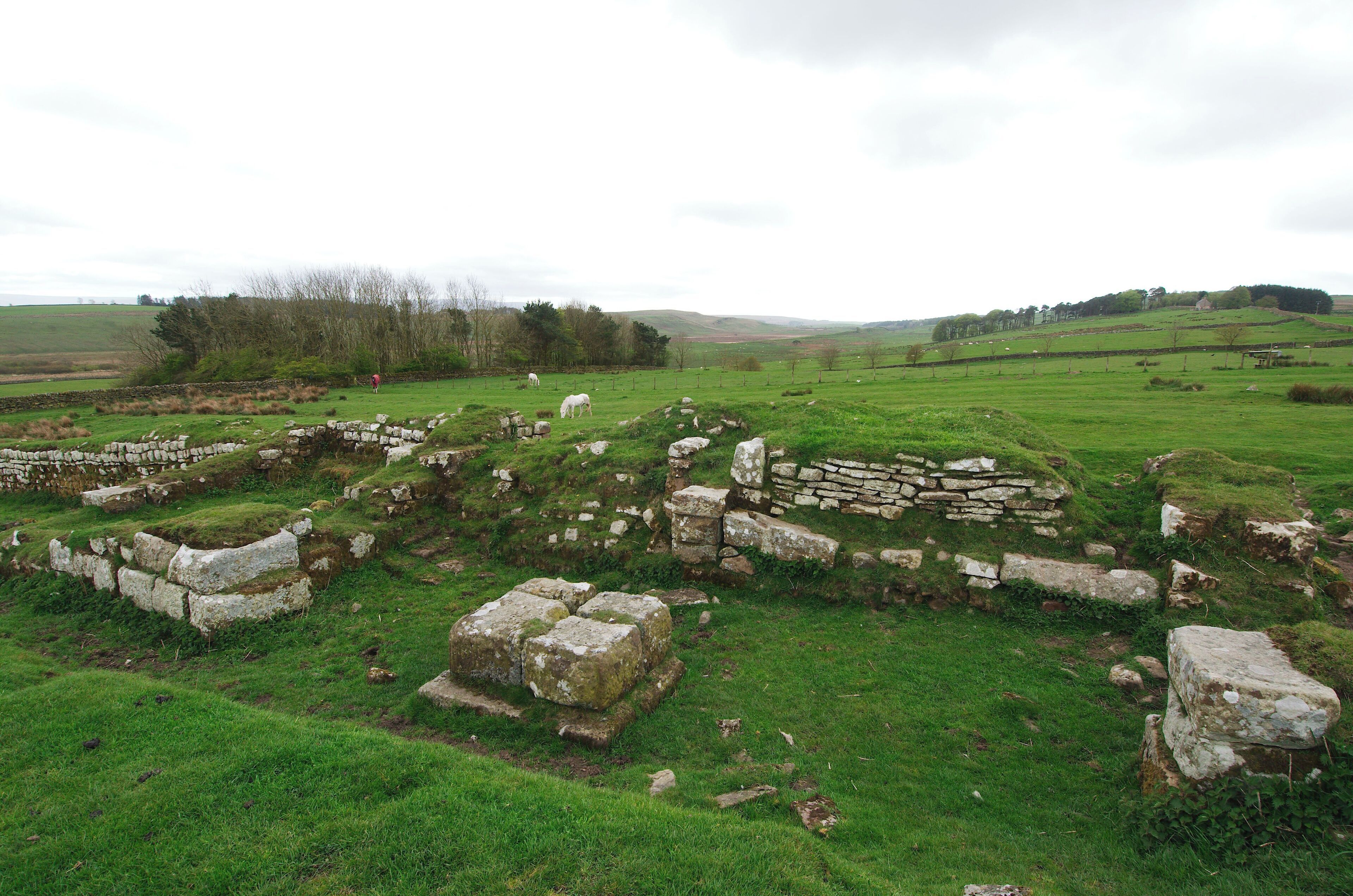 2015 - Hadrian's Wall Trip
