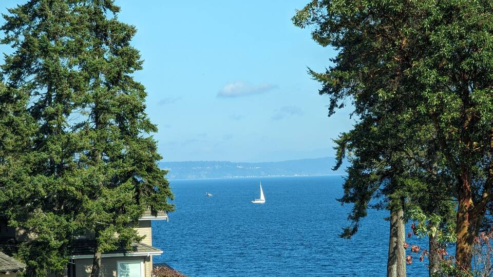 A coastal view with a sailboat on the water, a house, and trees.