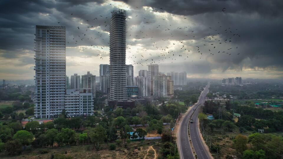 A cityscape with tall buildings, a highway, and a flock of birds in the sky.