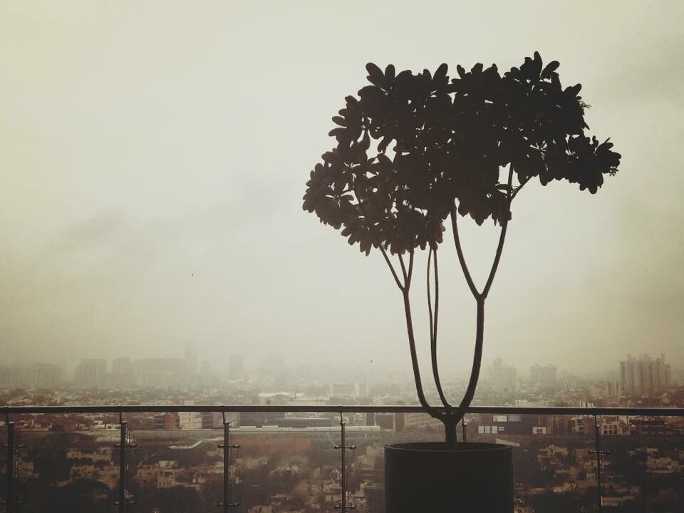 “Concrete Forests”

This spectacular view is from the Expedia Office in Gurugram, India.

#LifeAtExpedia