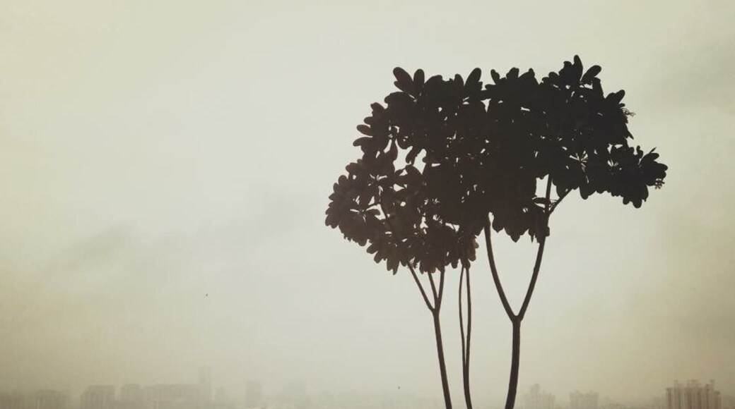 “Concrete Forests”
This spectacular view is from the Expedia Office in Gurugram, India.
#LifeAtExpedia