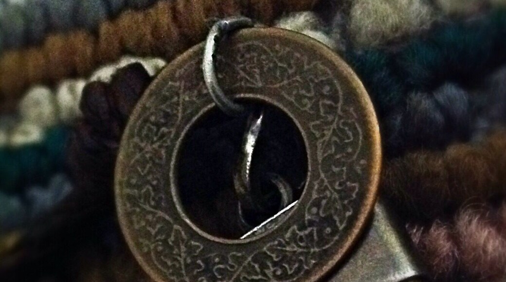 Old coin & a Tiger nail