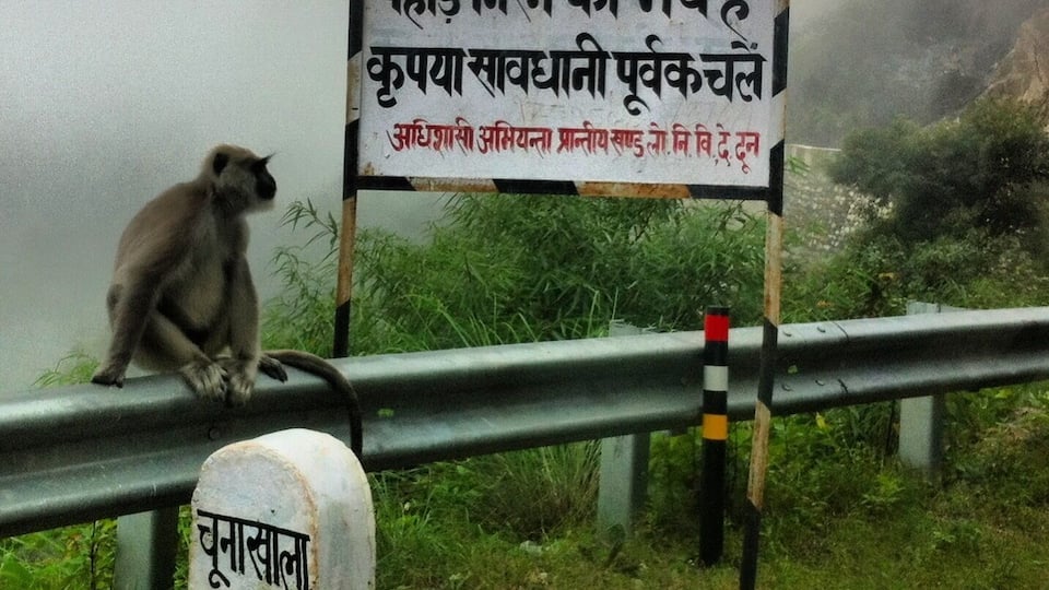 The windy road from The Woodstock School to Dehradun. A majestic place with incredible views.