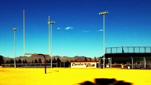 #school #palmtree #school #college