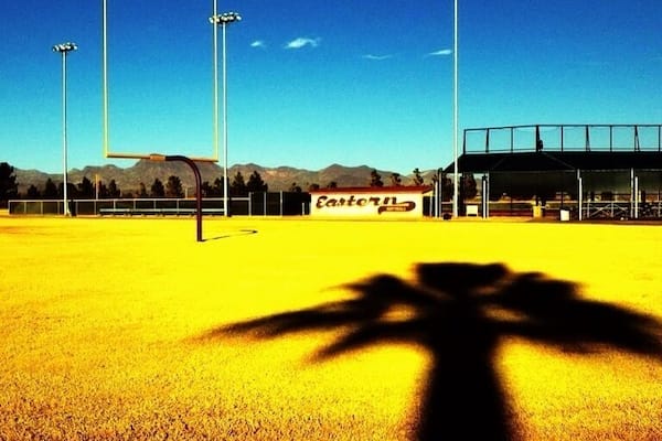 #school #palmtree #school #college