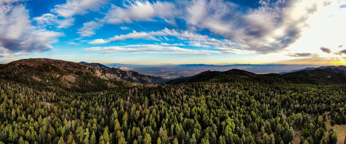 A dense forested mountain range with a clear sky.