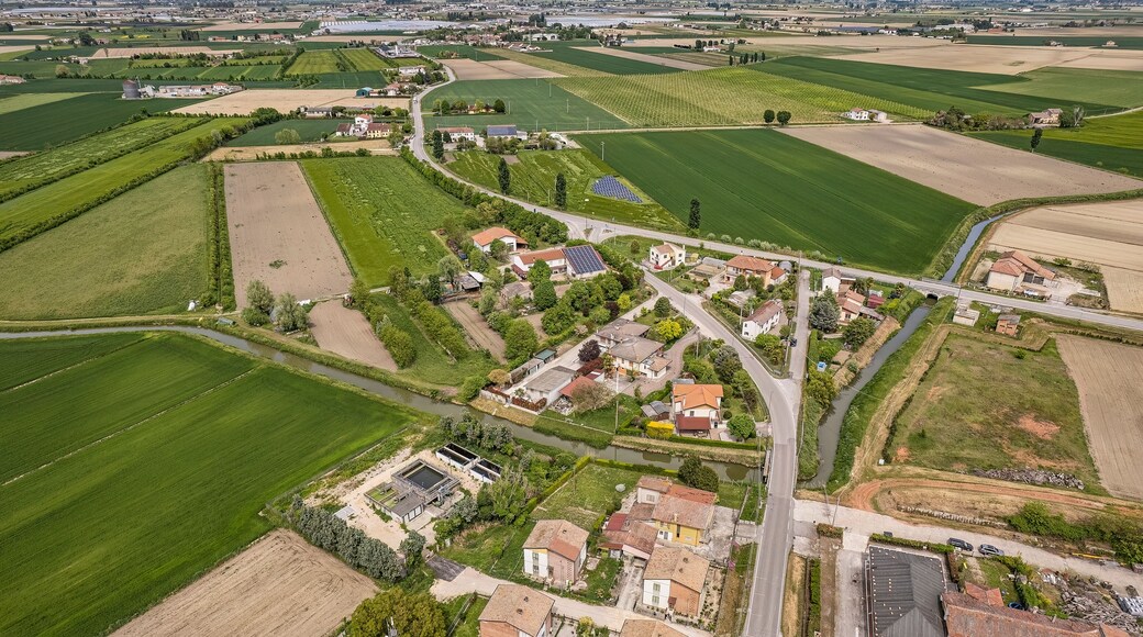 ๋น๋ผ๋
ธ๋ฐ