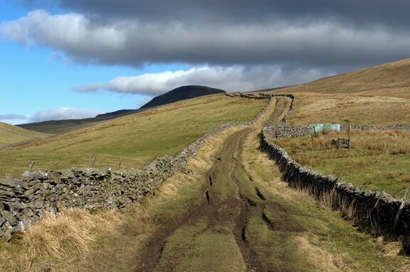 A rural landscape with a stone wall, a dirt path, and a mountain in the background.