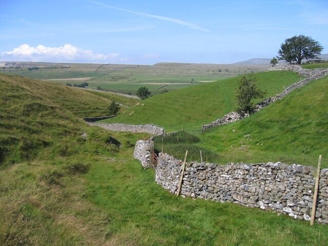 A stone wall, grassy hills, and a tree in a rural landscape.