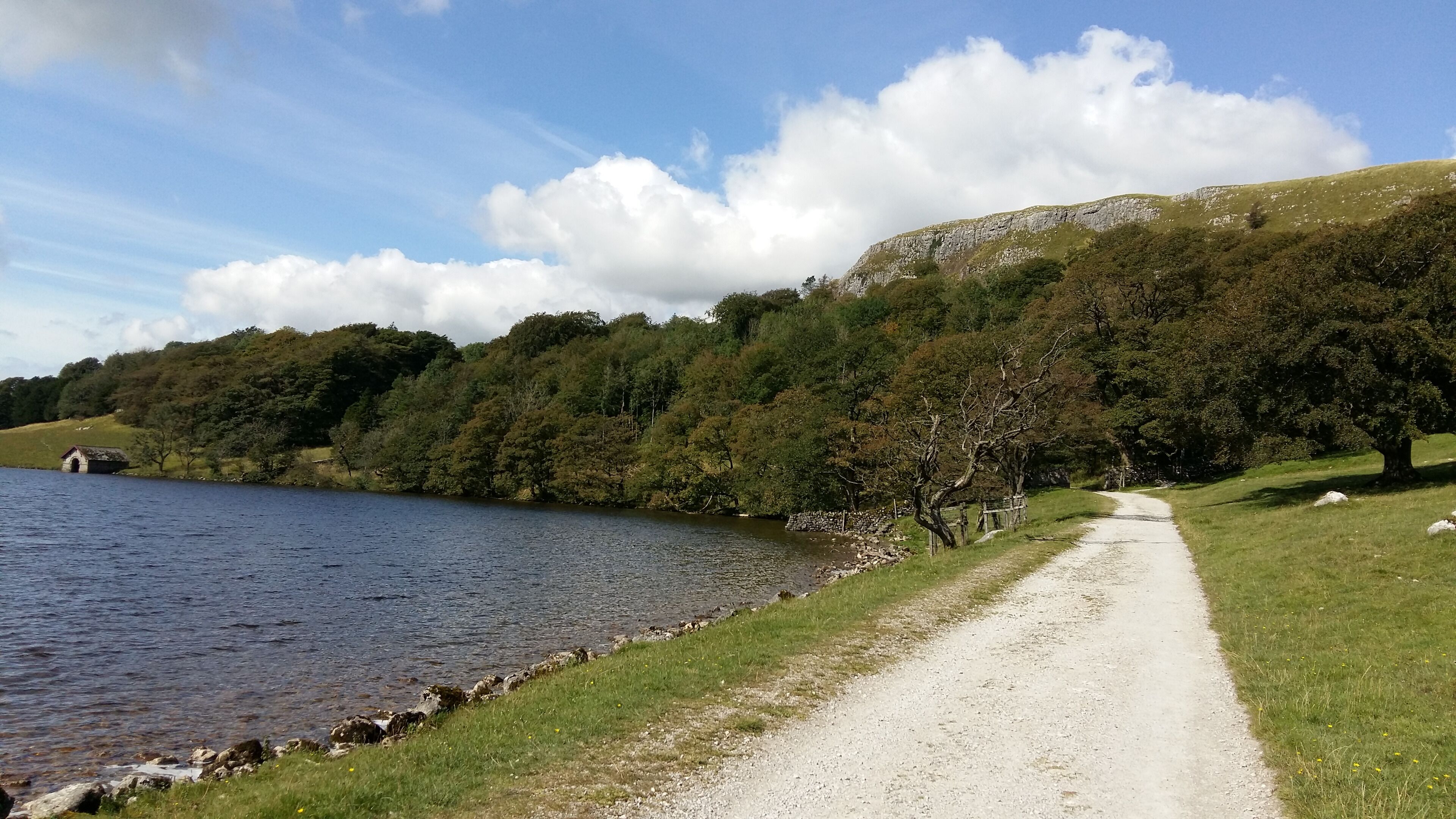 Leading up into the wooded area and to the viewpoint.  #lifeatexpedia