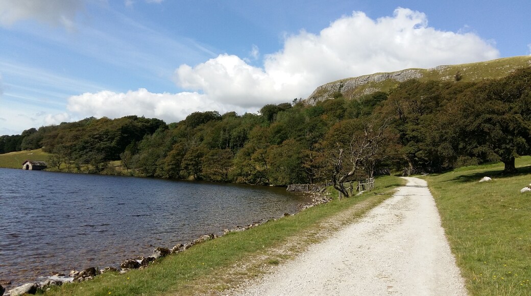 Leading up into the wooded area and to the viewpoint. #lifeatexpedia