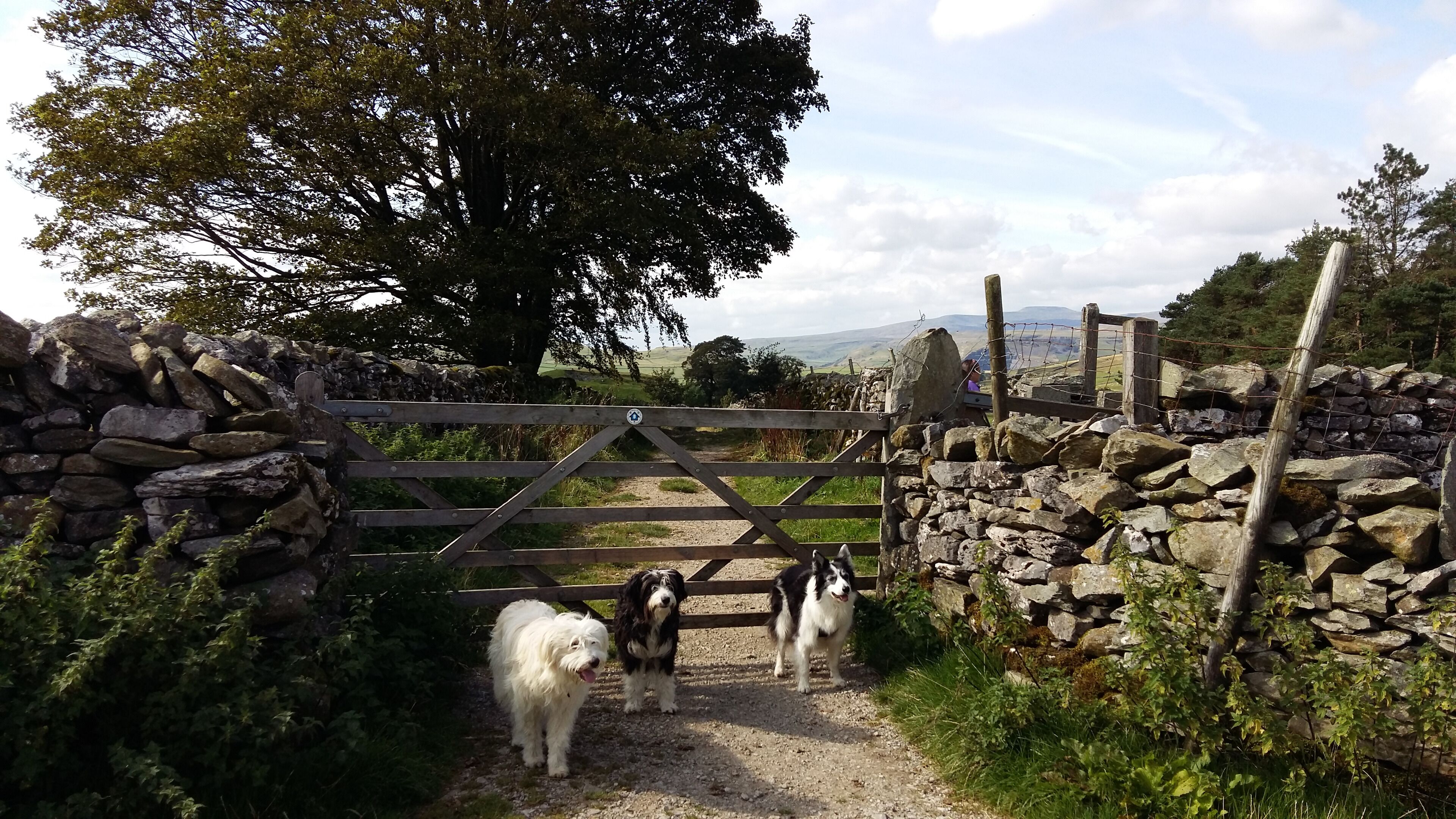 The entrance down to the falls. #lifeatexpedia #adventures #adventure