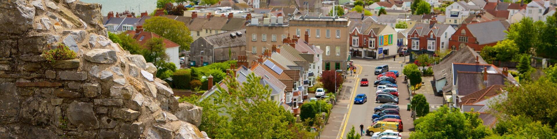 Swansea which includes a coastal town and general coastal views